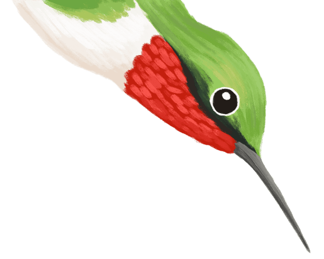 Bird 1